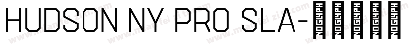 Hudson NY Pro Sla字体转换